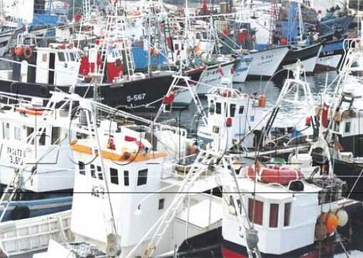 رجال أعمال من إقليم الباسك يستكشفون فرص الاستثمار في الصيد البحري بالمغرب