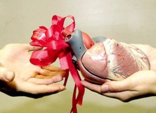 آسفي تنخرض في حملة التسجيل في سجل التبرع بالأعضاء