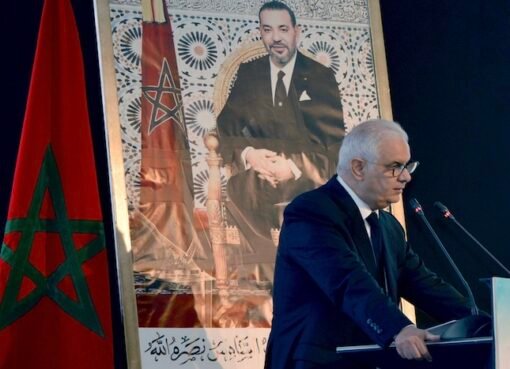 بركة يتباحث مع مدير منظمة “إفريقيا 50” من أجل مشاريع واستثمارات مهمة جدا
