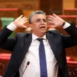 الوزير وهبي ينبه إلى قضية إغراق المحكمة الدستورية بالقضايا الهامشية